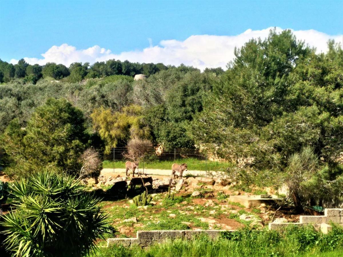 Le Colonie Διαμέρισμα Presicce Εξωτερικό φωτογραφία