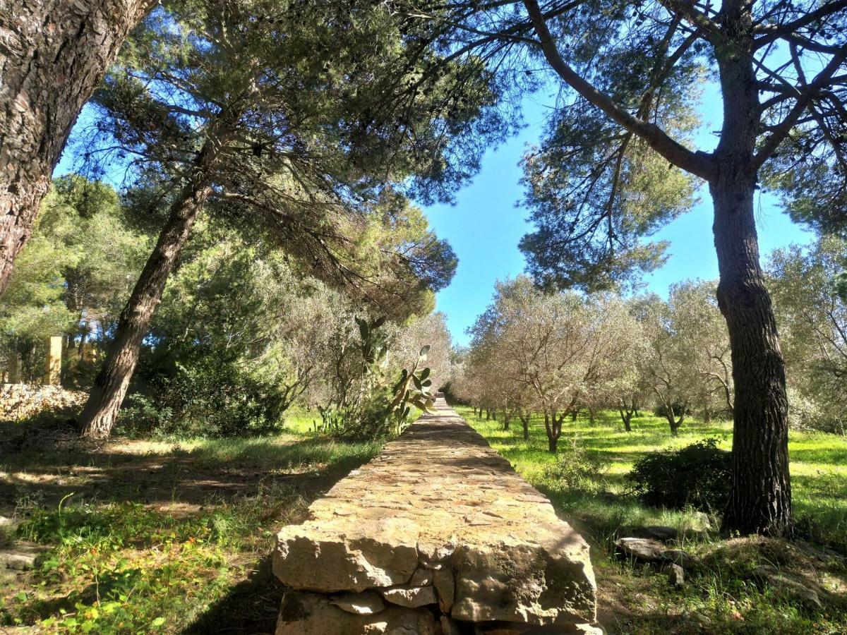 Le Colonie Διαμέρισμα Presicce Εξωτερικό φωτογραφία